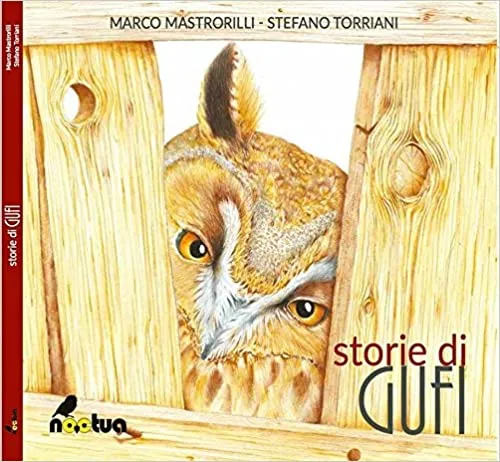 Copertina di Storie di gufi