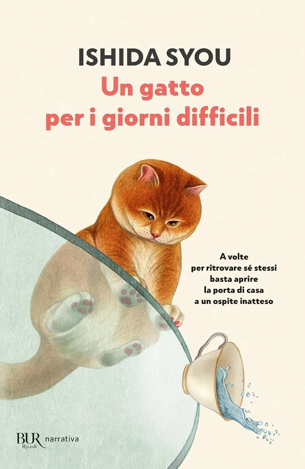 Copertina di Un gatto per i giorni difficili