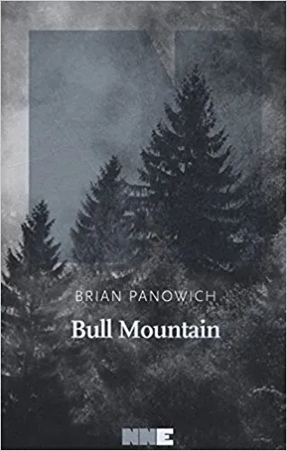Copertina di Bull Mountain
