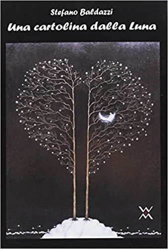 Copertina di Una cartolina dalla Luna