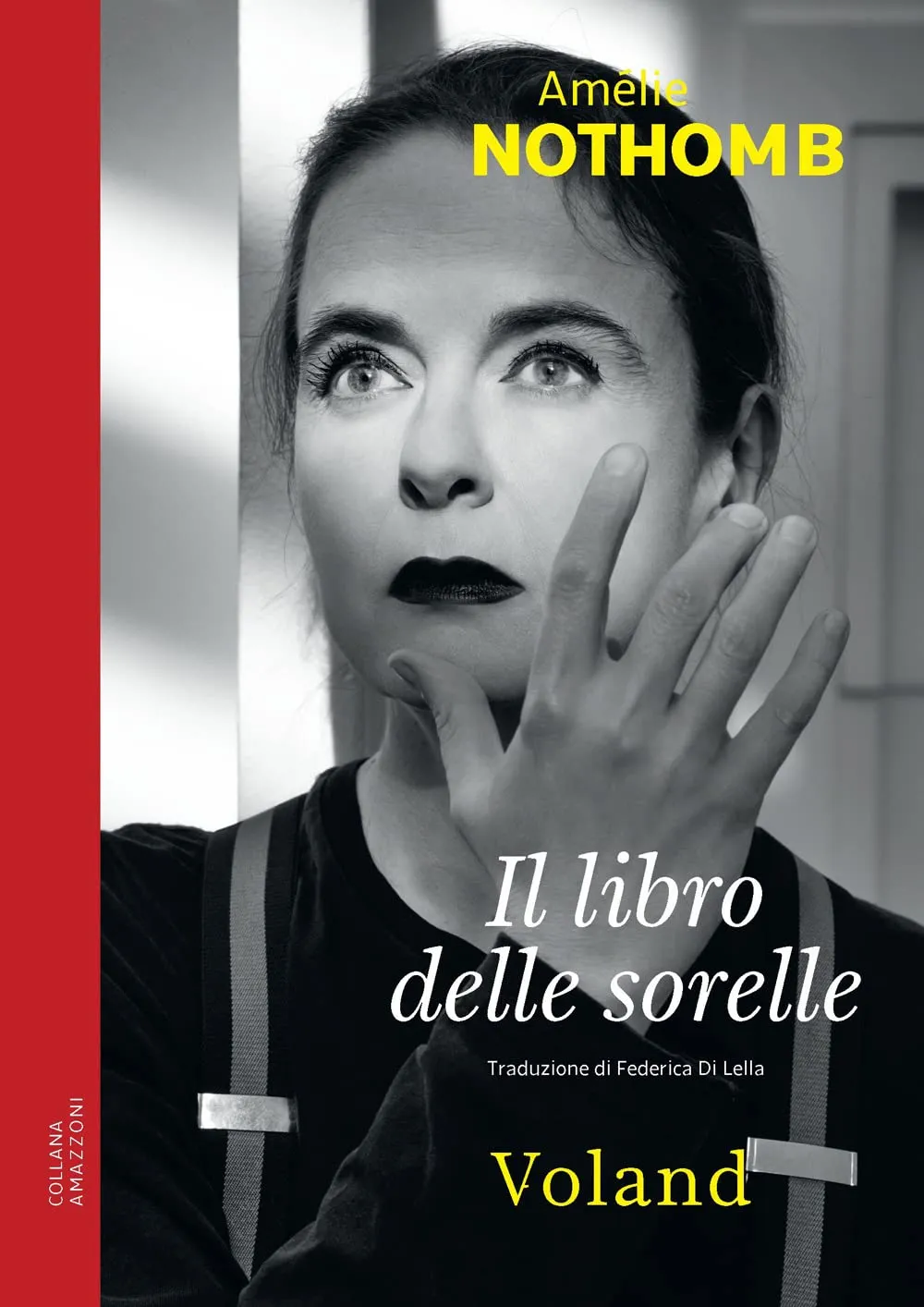 Copertina di Il libro delle sorelle