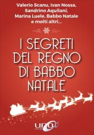 Copertina di I segreti del regno di Babbo Natale
