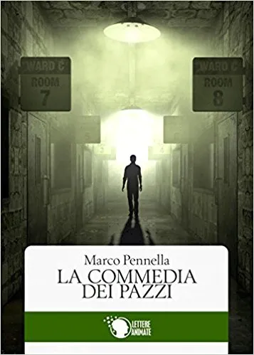 Copertina di La commedia dei pazzi