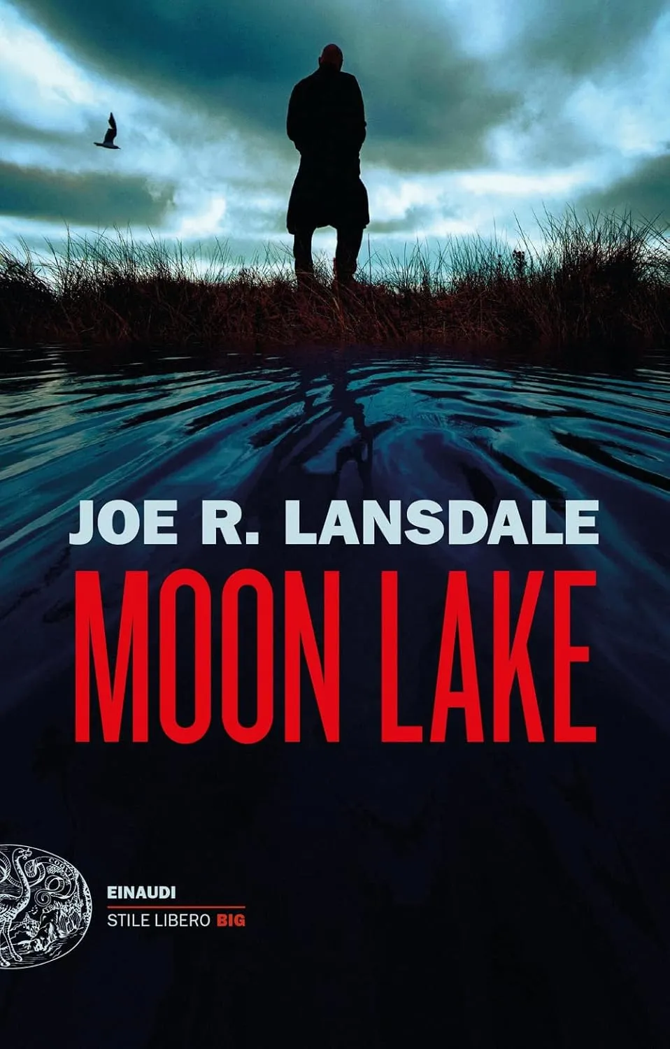 Copertina di Moon lake